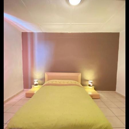 Belle Appartement Chaleureux A 2 Mn A Pied Du Tramway. Saint-Etienne  Ngoại thất bức ảnh
